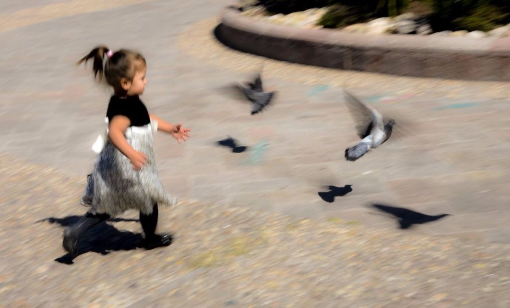 child Chasing Pigeons