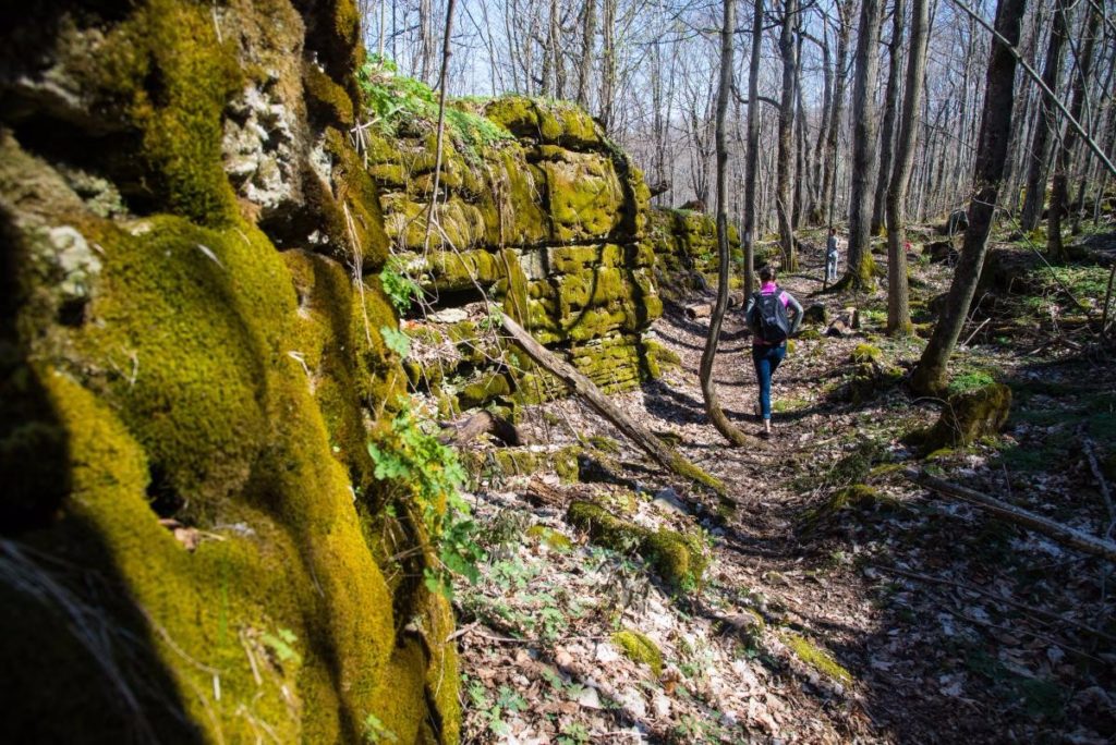 Fossil Glen Bruce Trail Hike