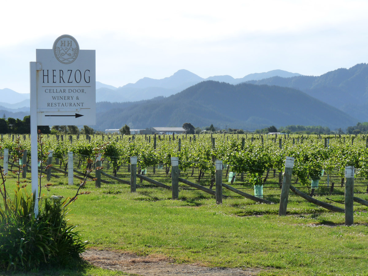 Herzog Winery in Marlborough