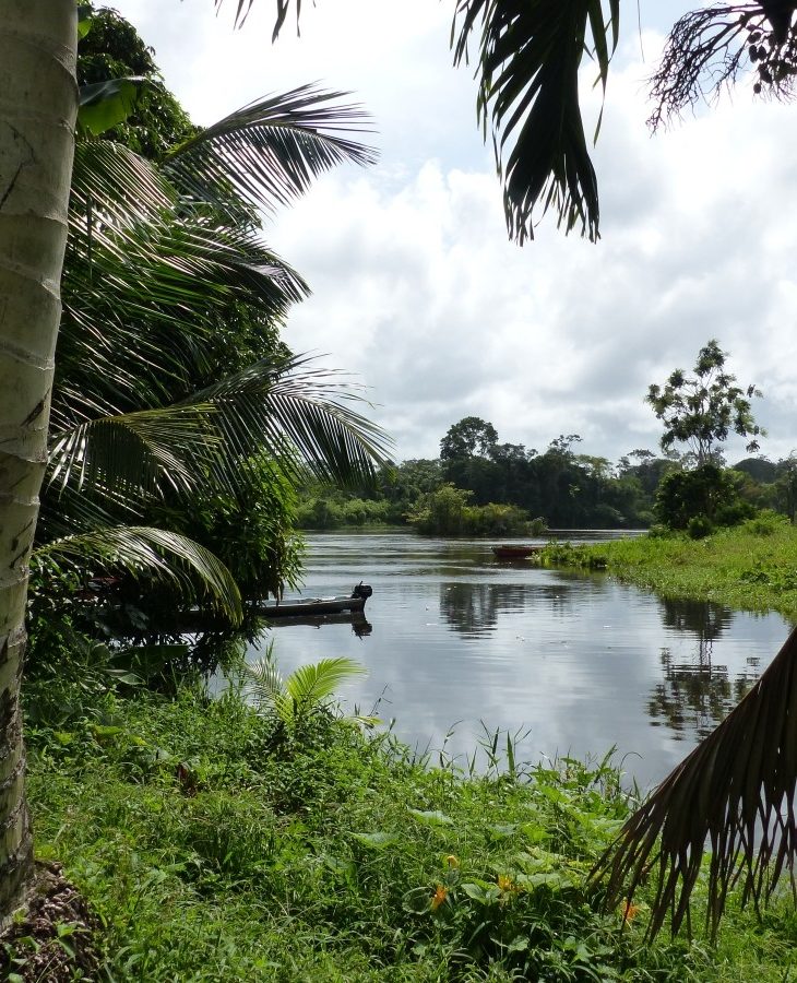 Along the Upper Suriname River