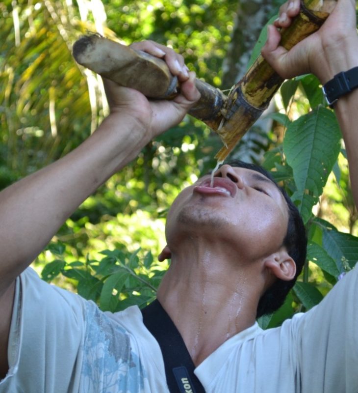 drinking sugarcane juice