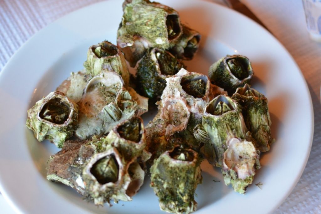 Barnacles are an Azorean treat