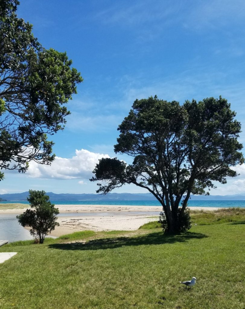 Coromandel