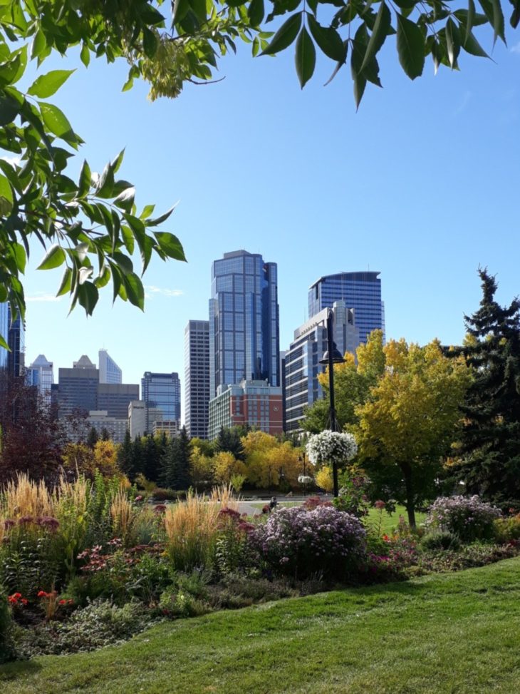 Calgary skyline