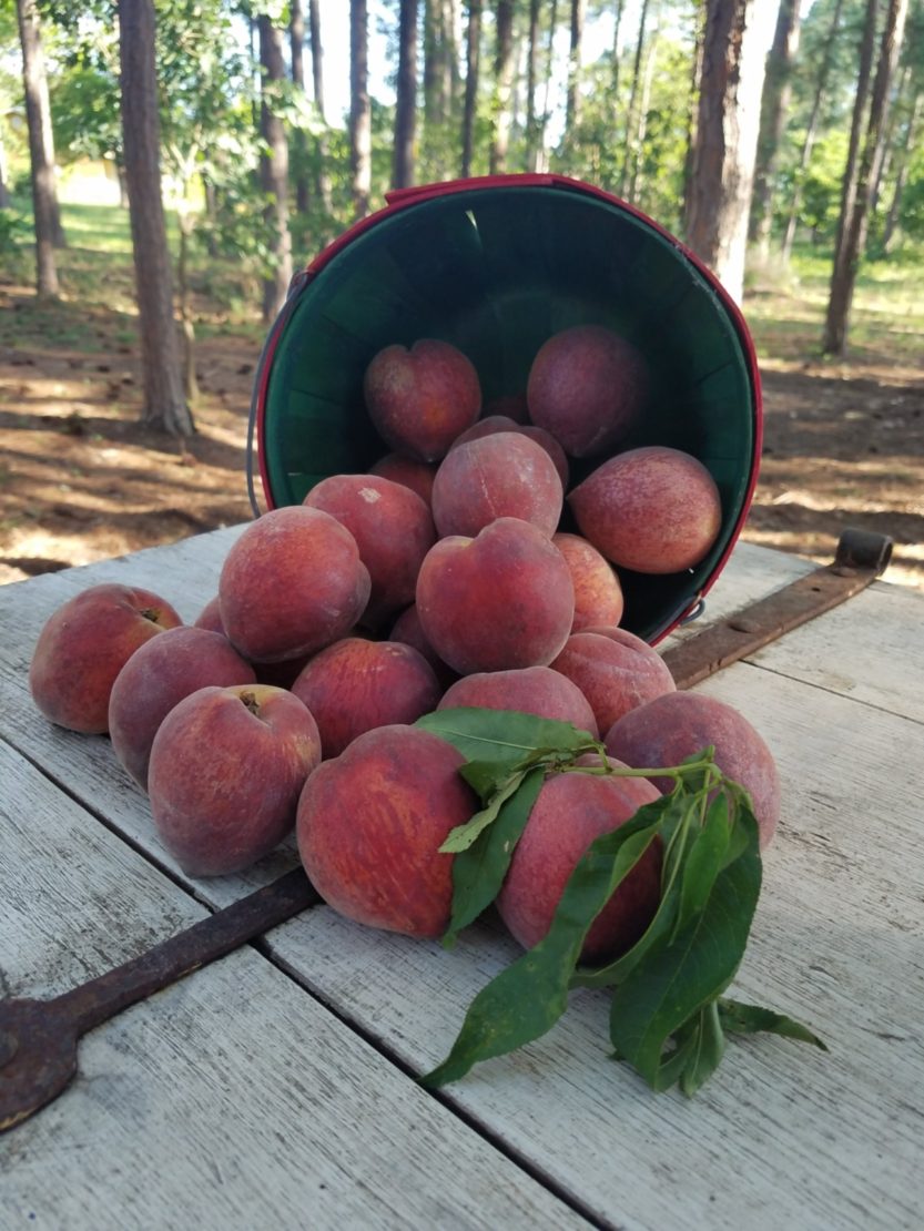 Taste&Travel Magazine