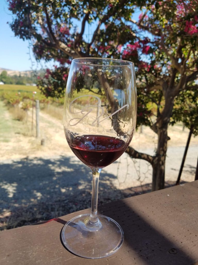 Wine tasting at GV cellars