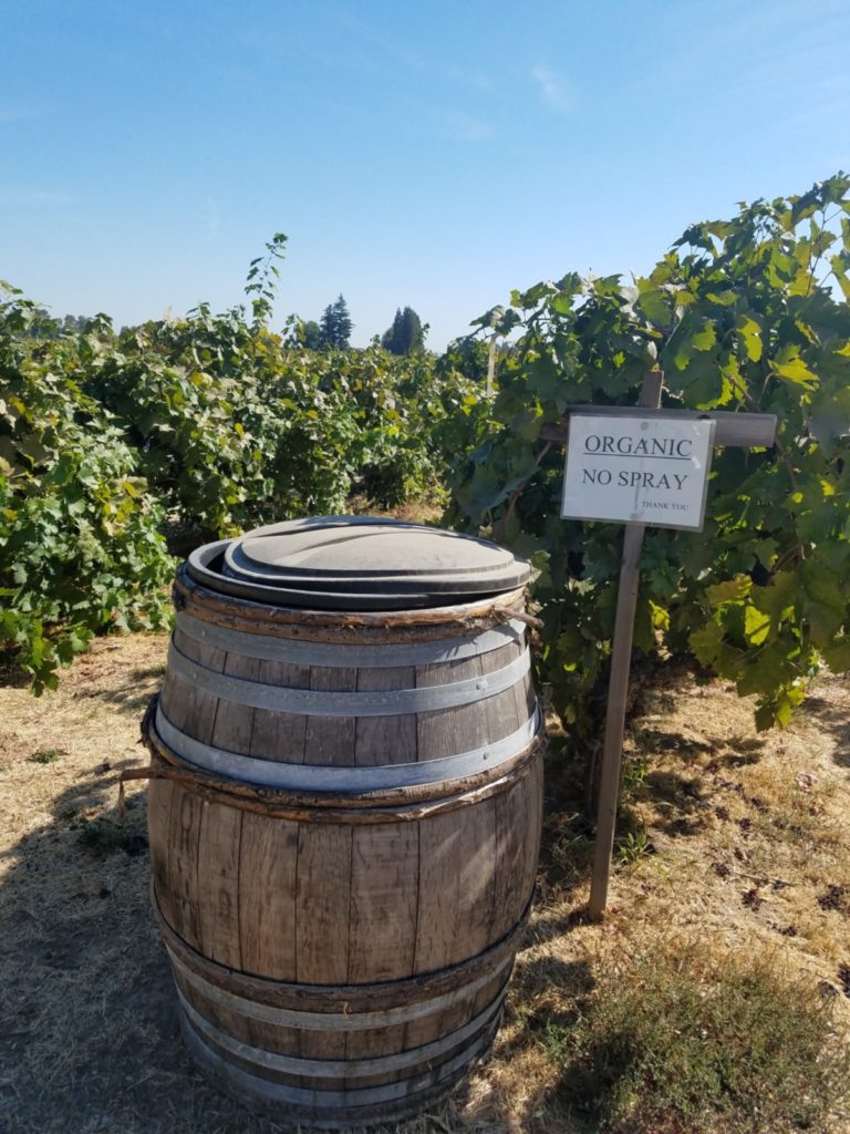Organic vines
