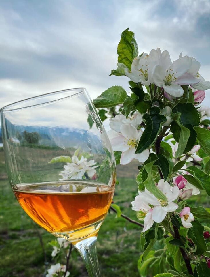 Cider glass and blossoms